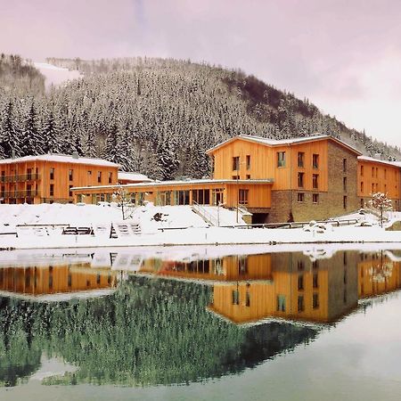 Apartmán Medvědín 110 Spindleruv Mlyn Quarto foto
