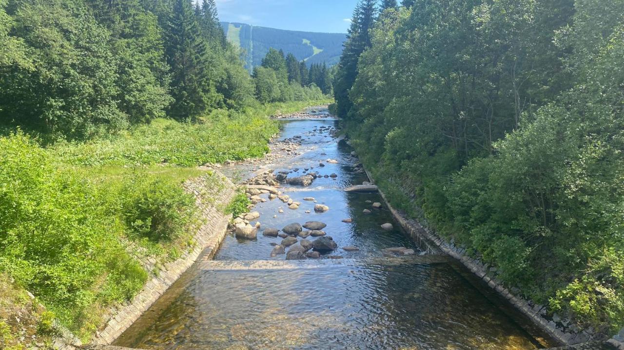 Apartmán Medvědín 110 Spindleruv Mlyn Exterior foto